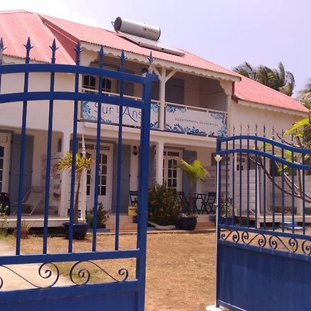 Villa Sur L'Anse Terre-De-Haut Esterno foto