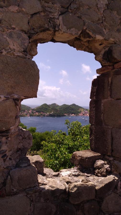 Villa Sur L'Anse Terre-De-Haut Esterno foto