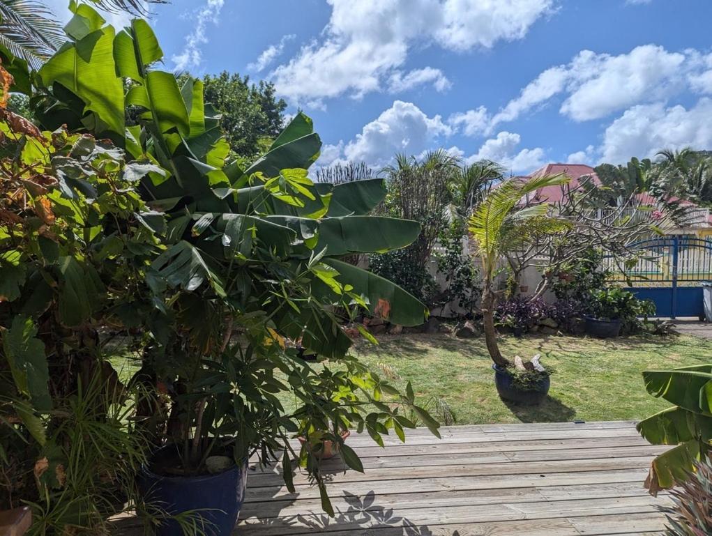 Villa Sur L'Anse Terre-De-Haut Camera foto